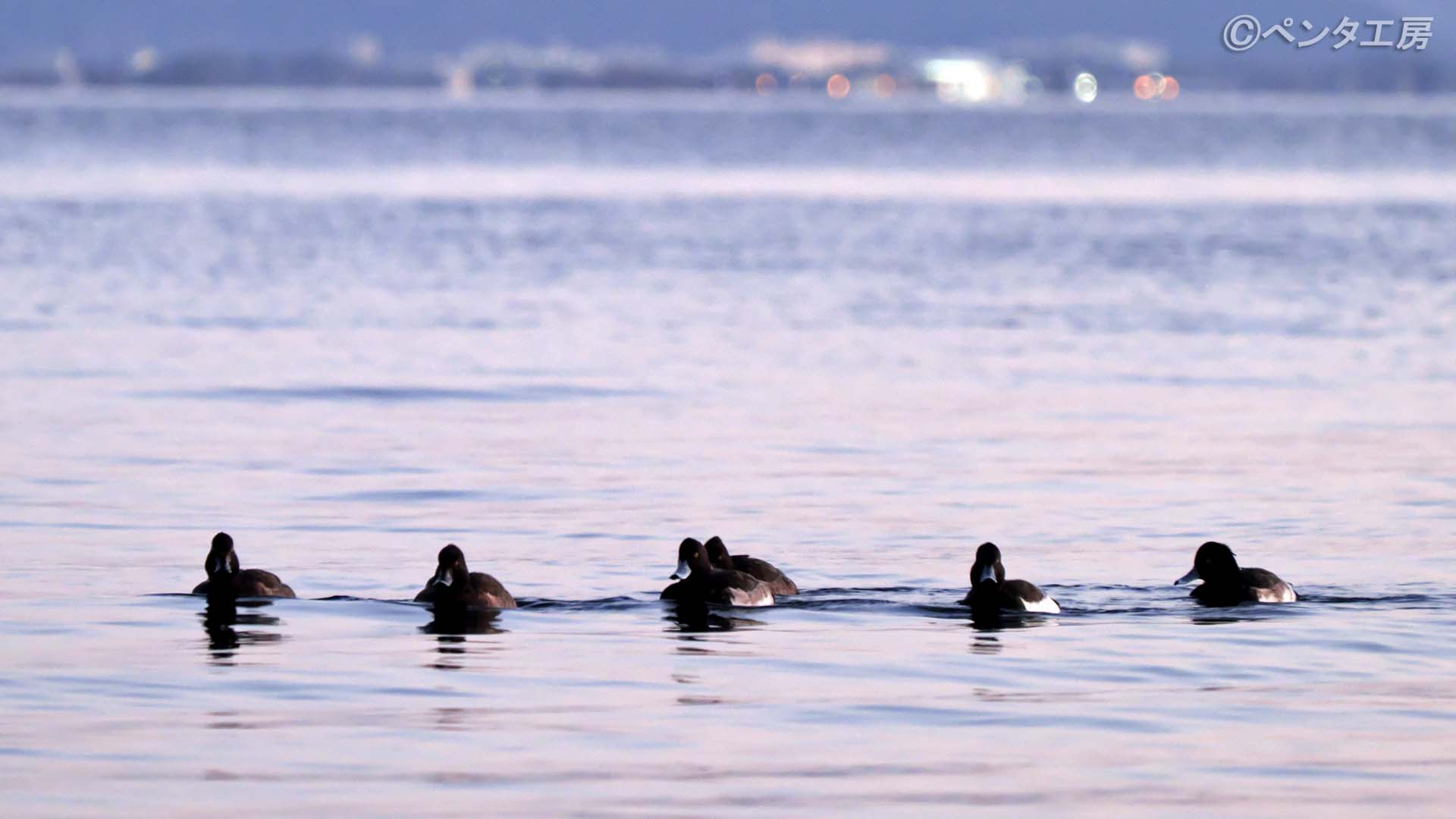 琵琶湖と比叡山の景色